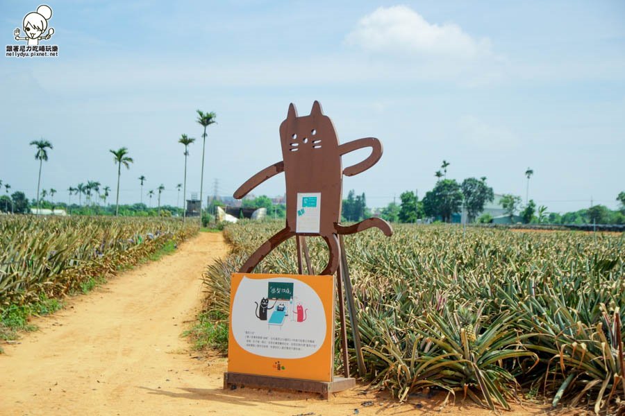 旺萊山鳳梨酥 鳳梨 民雄旅遊  (25 - 52).jpg