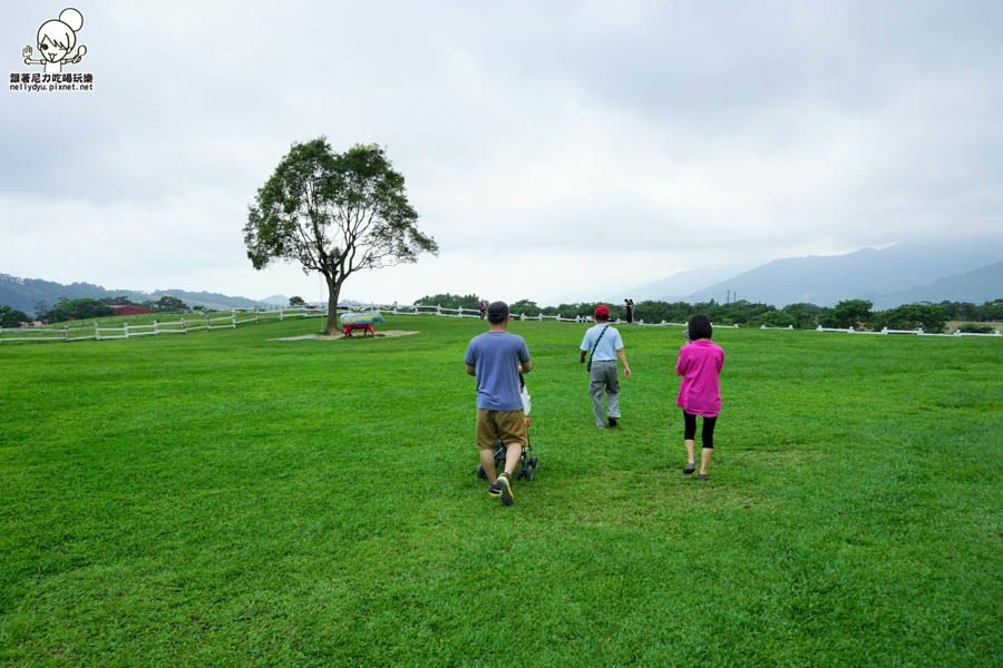 初鹿牧場 台東旅遊 台東景點 (20 - 44).jpg