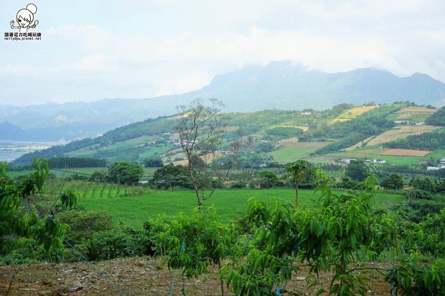 初鹿牧場 台東旅遊 台東景點 (36 - 44).jpg