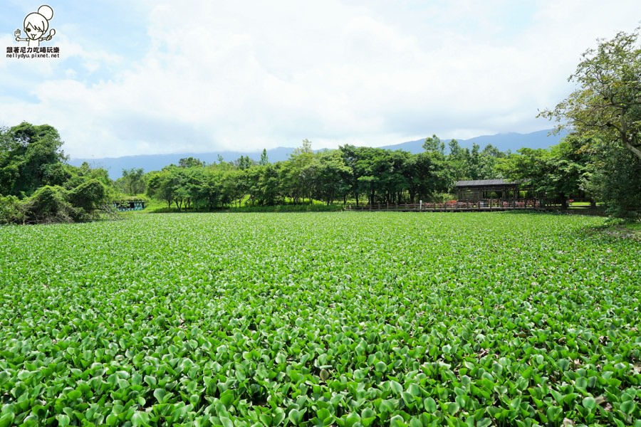 台東關山親水公園 (21 - 25).jpg