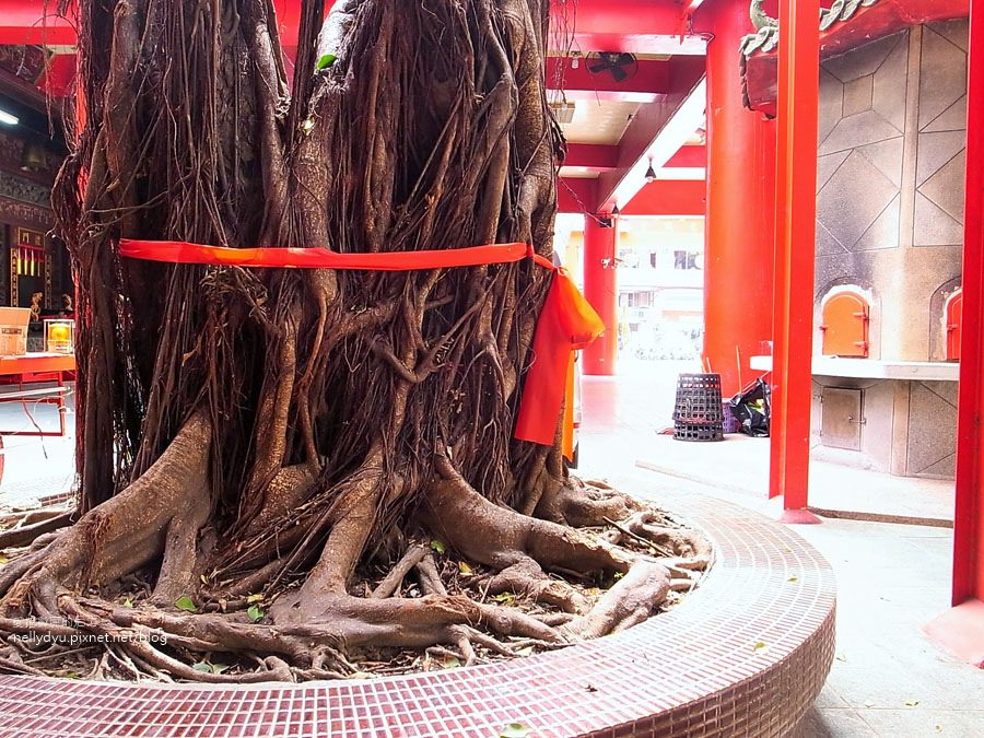 意誠廟水餃03.JPG 意誠廟水餃03.JPG