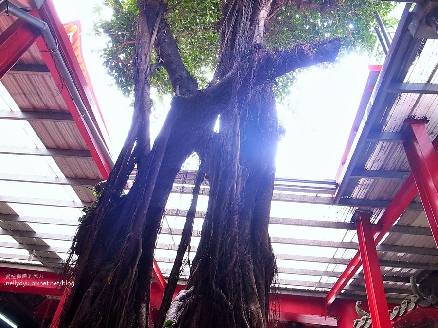 意誠廟水餃04.JPG 意誠廟水餃04.JPG