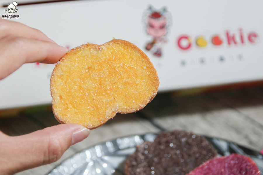 DoGa香酥脆椒 Rainbow Cookie 彩虹脆片 台南 (19 - 27).jpg