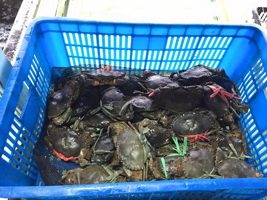 金聖春 旗津海產05.jpg