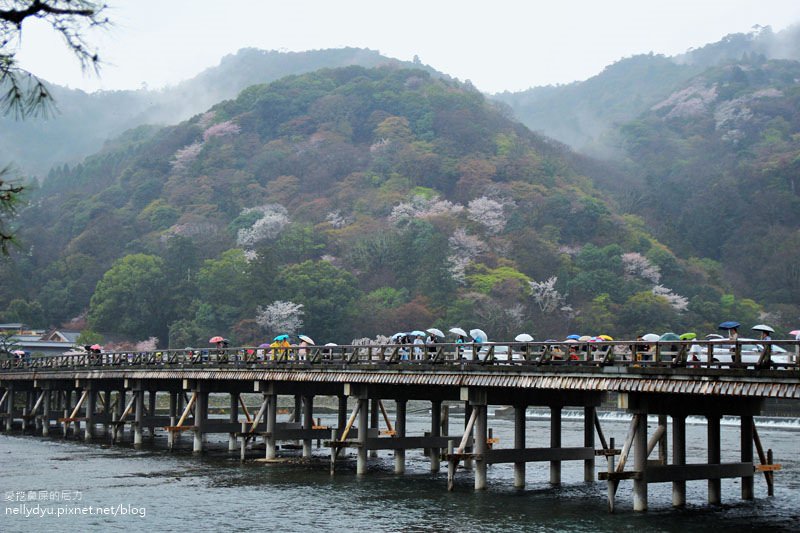 嵐山渡月橋 嵯峨野觀光小火車16.JPG