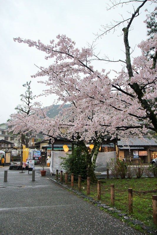 嵐山渡月橋 嵯峨野觀光小火車19.JPG