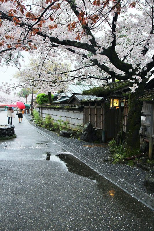 嵐山渡月橋 嵯峨野觀光小火車23.JPG