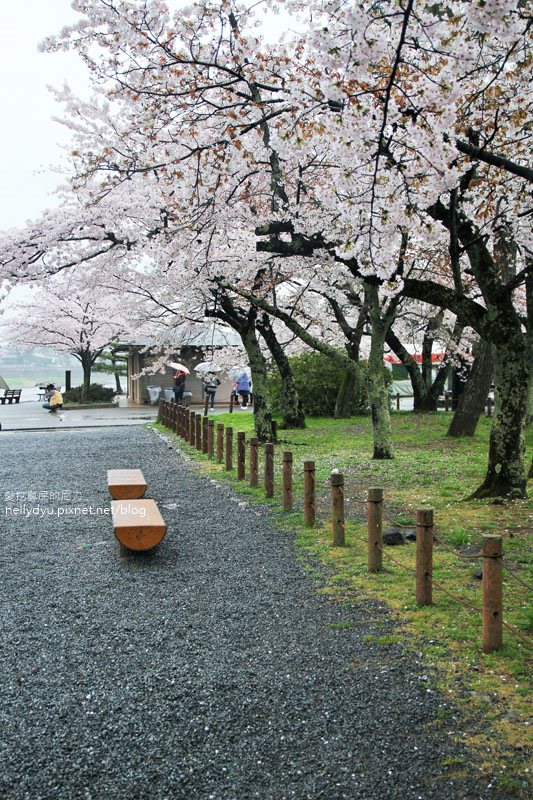 嵐山渡月橋 嵯峨野觀光小火車25.JPG