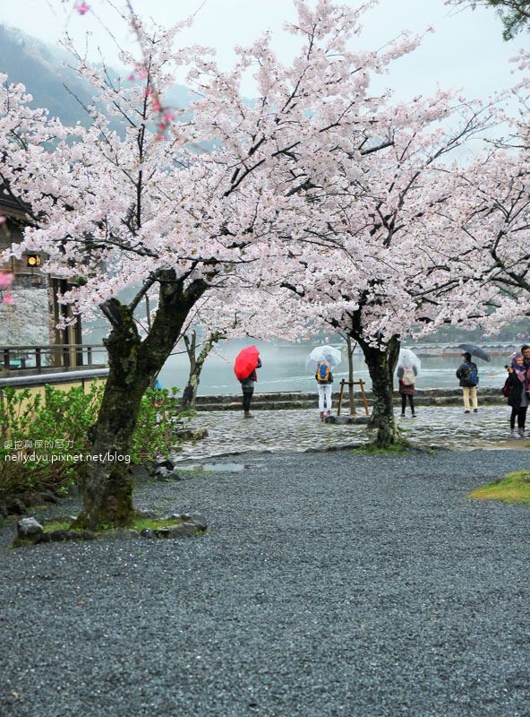 嵐山渡月橋 嵯峨野觀光小火車30.JPG