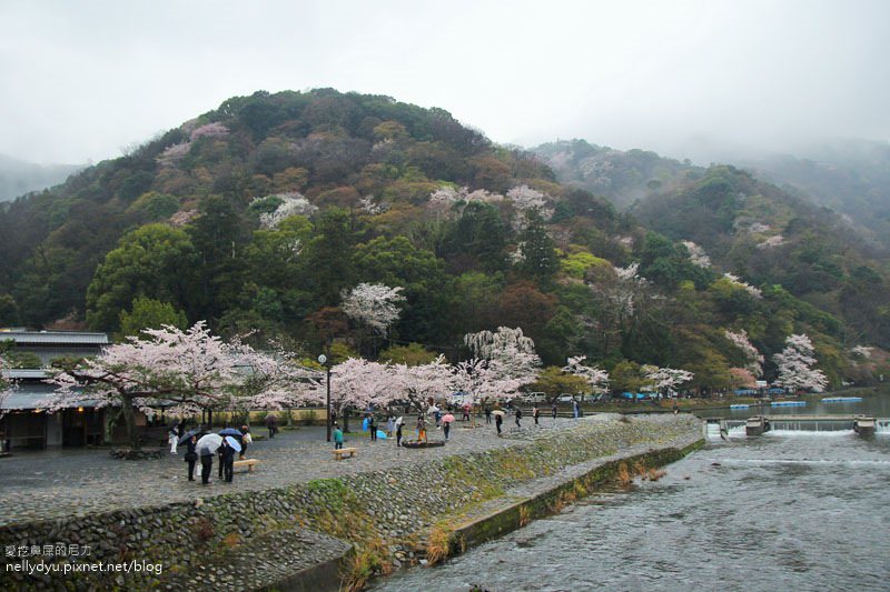 嵐山渡月橋 嵯峨野觀光小火車32.JPG