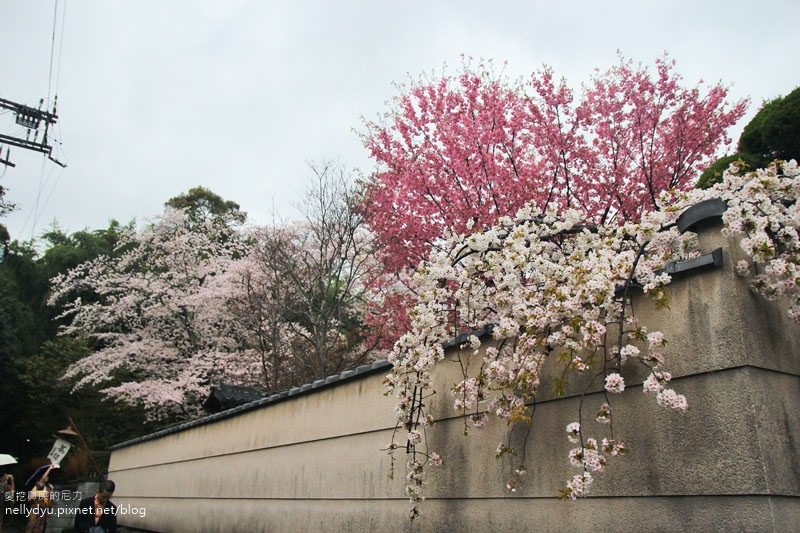 嵐山渡月橋 嵯峨野觀光小火車40.JPG