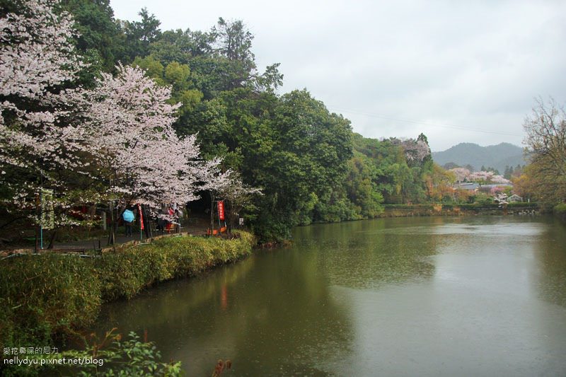 嵐山渡月橋 嵯峨野觀光小火車46.JPG