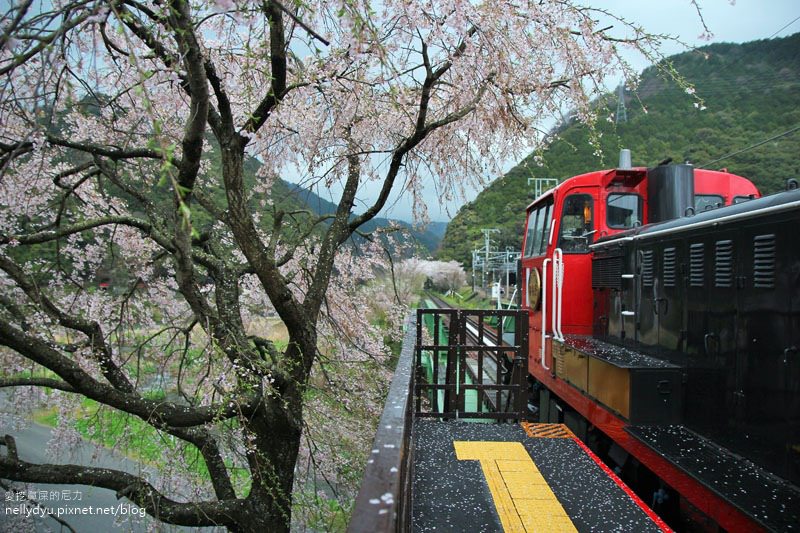 嵐山渡月橋 嵯峨野觀光小火車52.JPG