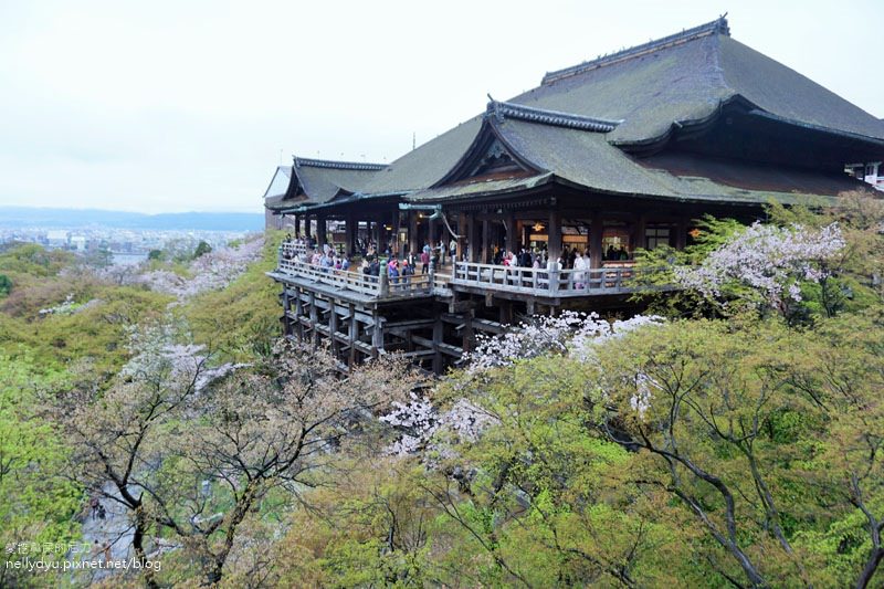 日本賞櫻 清水寺14.JPG