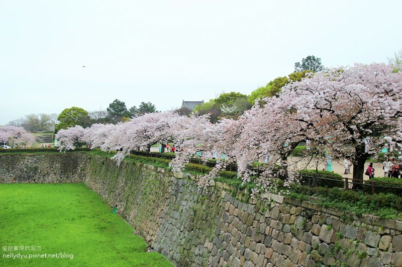 日本賞櫻-大阪城公園20.JPG