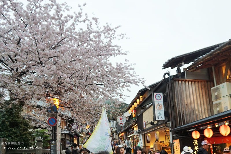 日本賞櫻 清水寺02.JPG