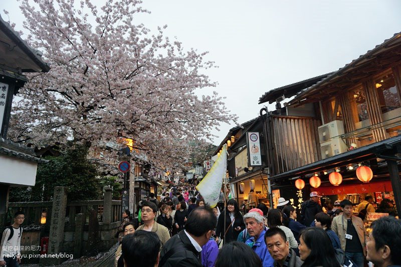 日本賞櫻 清水寺03.JPG