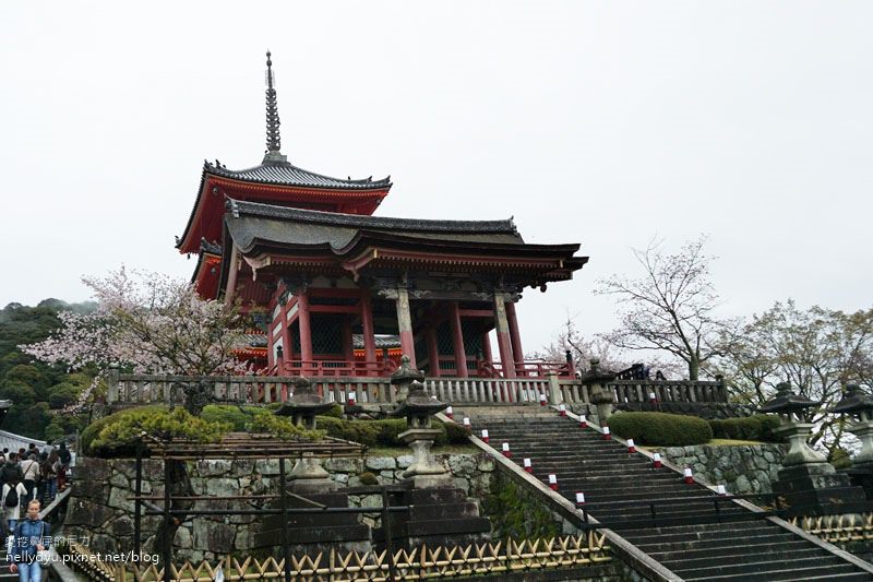 日本賞櫻 清水寺05.JPG