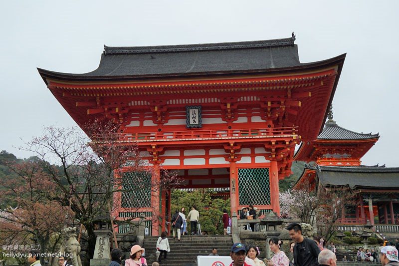 日本賞櫻 清水寺04.JPG