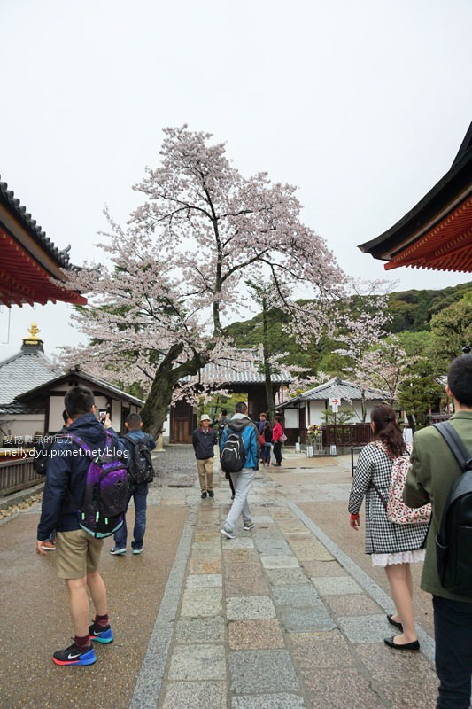 日本賞櫻 清水寺07.JPG