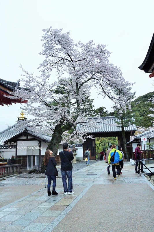 日本賞櫻 清水寺08.JPG