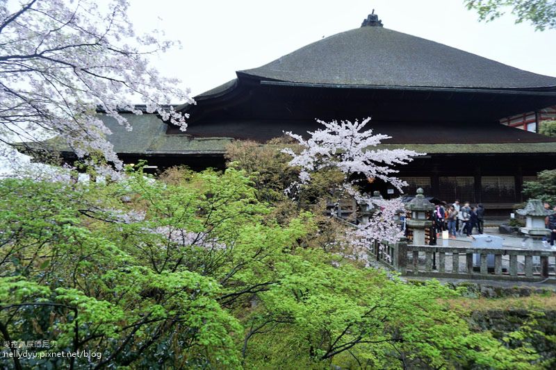 日本賞櫻 清水寺11.JPG