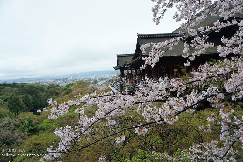 日本賞櫻 清水寺13.JPG