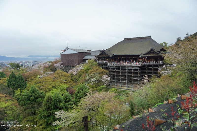 日本賞櫻 清水寺15.JPG