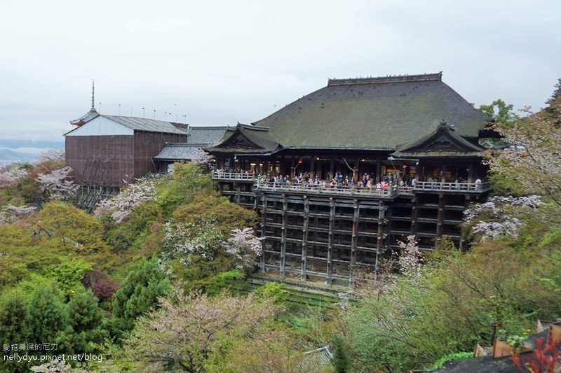 日本賞櫻 清水寺17.JPG