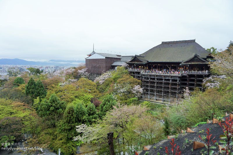 日本賞櫻 清水寺16.JPG