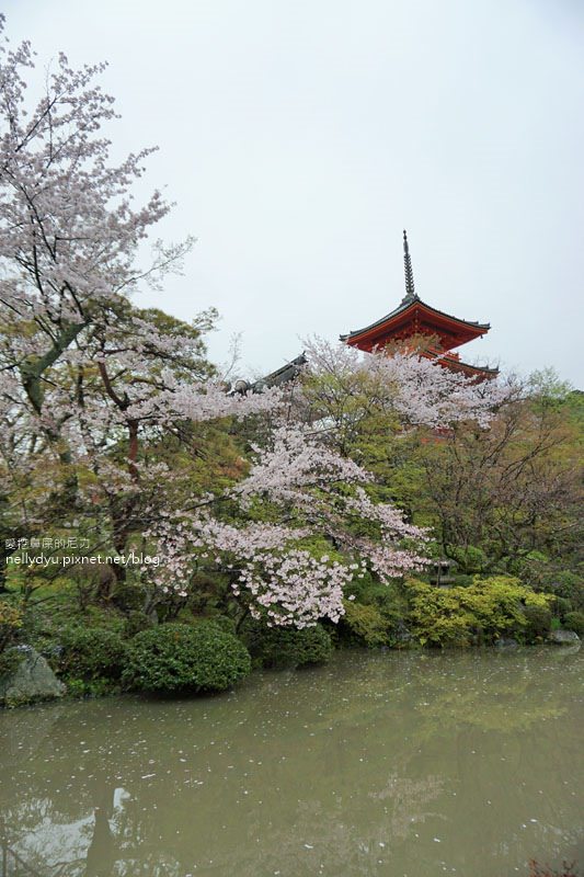 日本賞櫻 清水寺18.JPG