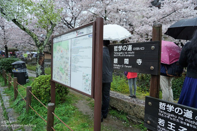 銀閣寺、哲學之道02.JPG