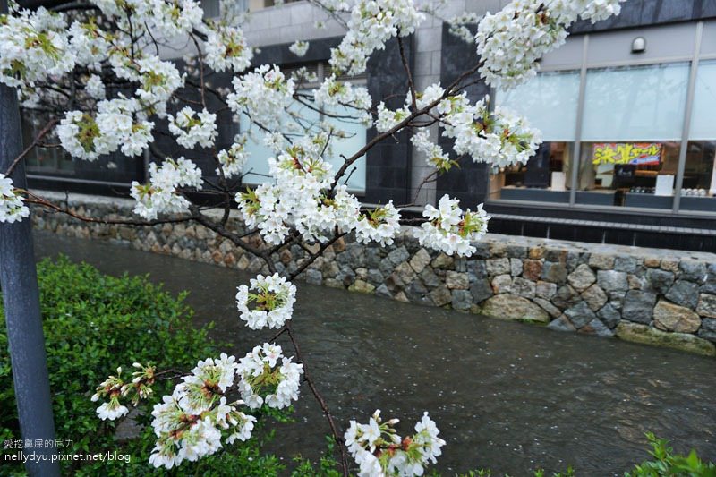 銀閣寺、哲學之道01.JPG