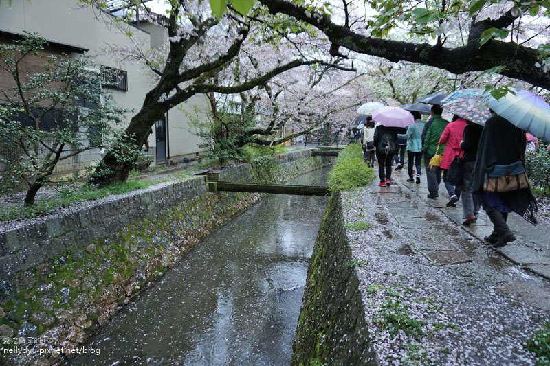 銀閣寺、哲學之道04.JPG