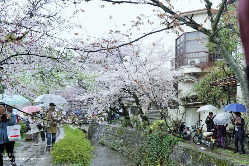 銀閣寺、哲學之道03.JPG