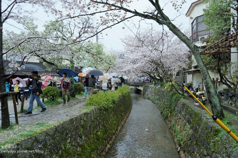 銀閣寺、哲學之道08.JPG