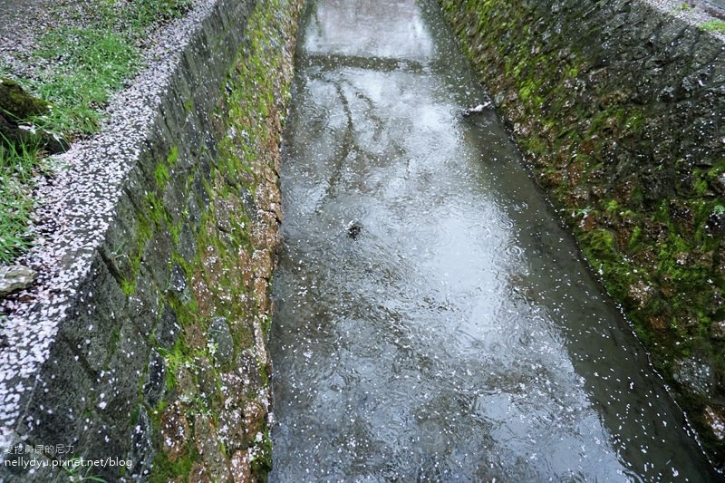 銀閣寺、哲學之道07.JPG