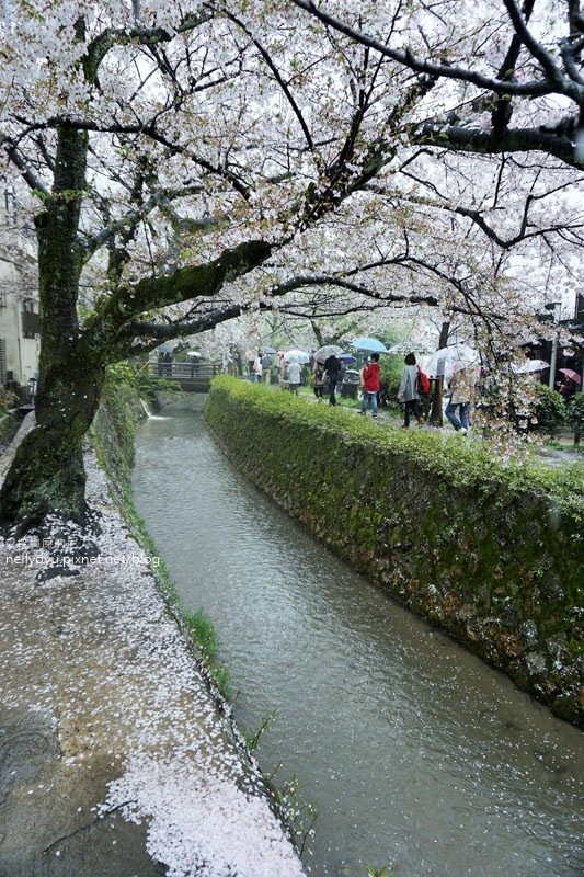 銀閣寺、哲學之道26.JPG