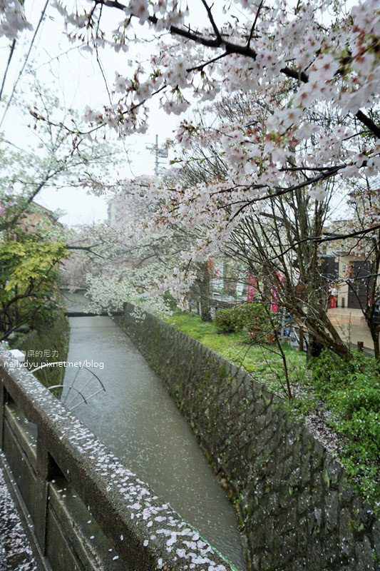 銀閣寺、哲學之道27.JPG