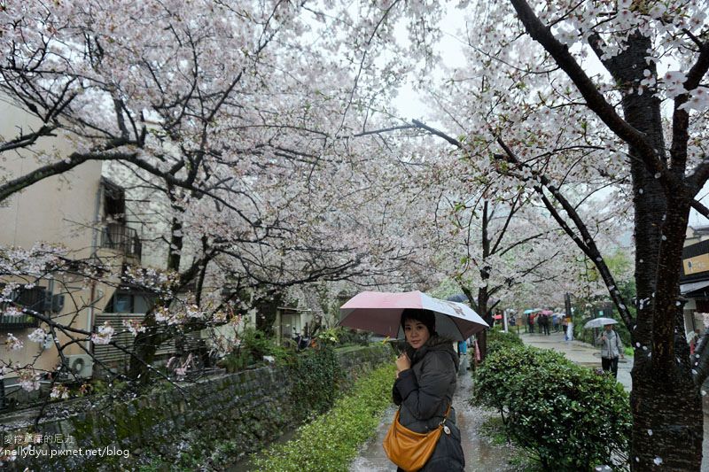 銀閣寺、哲學之道30.JPG