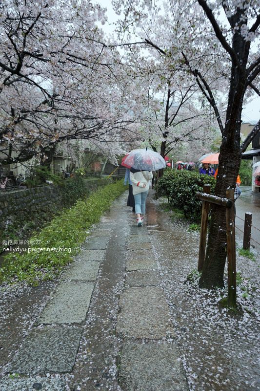 銀閣寺、哲學之道29.JPG