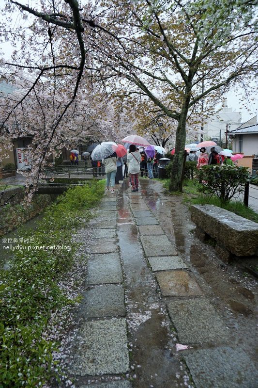 銀閣寺、哲學之道31.JPG