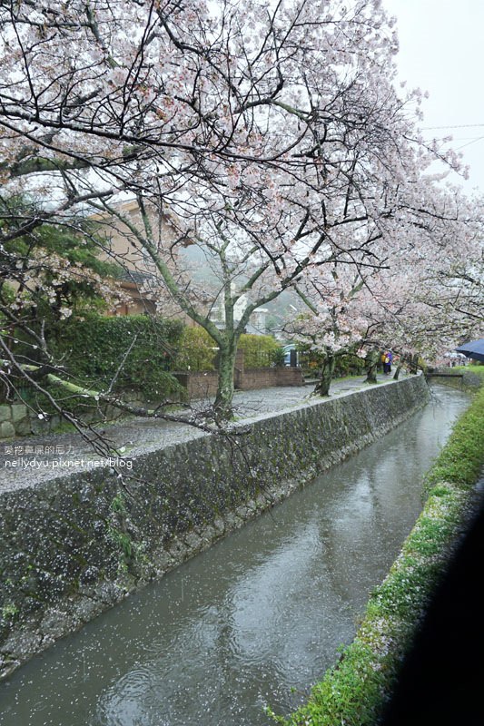 銀閣寺、哲學之道33.JPG