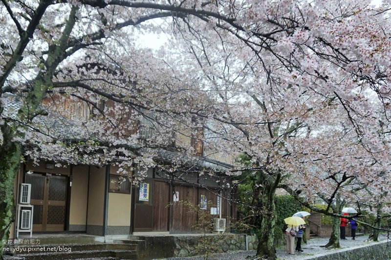 銀閣寺、哲學之道32.JPG