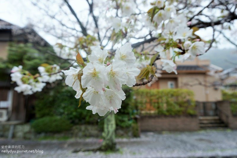 銀閣寺、哲學之道34.JPG