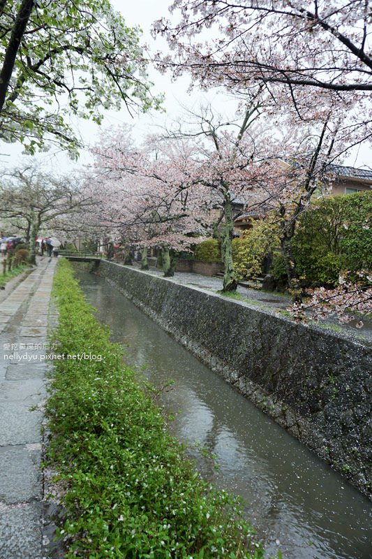 銀閣寺、哲學之道36.JPG