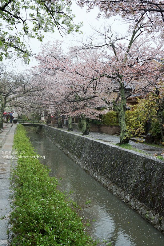 銀閣寺、哲學之道35.JPG