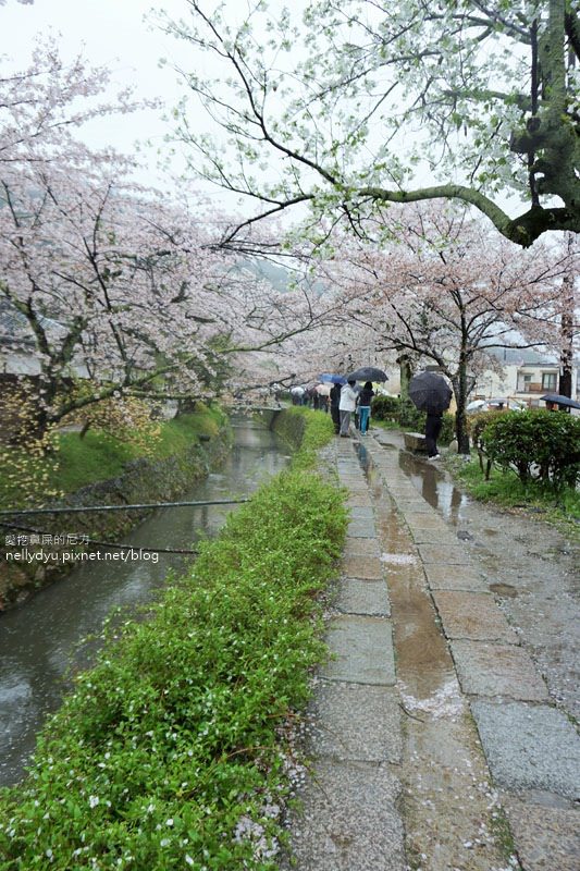 銀閣寺、哲學之道37.JPG