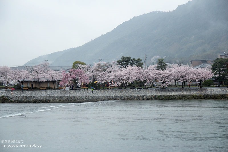 嵐山渡月橋 嵯峨野觀光小火車11.JPG