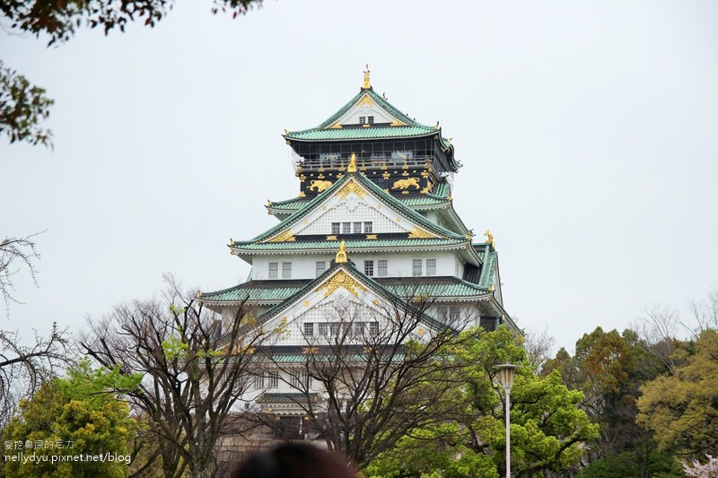 日本賞櫻-大阪城公園24.JPG